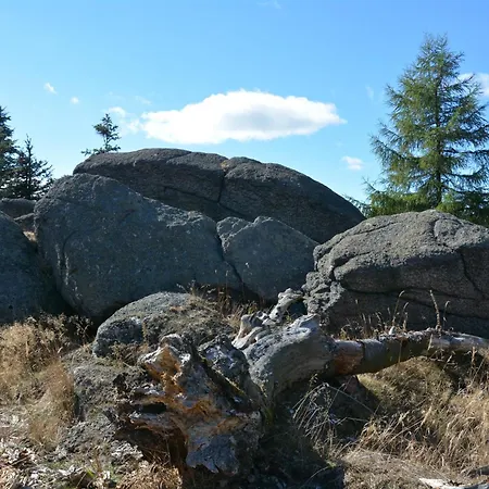 Waldgasthof Bad Einsiedel Seiffen Exterior photo