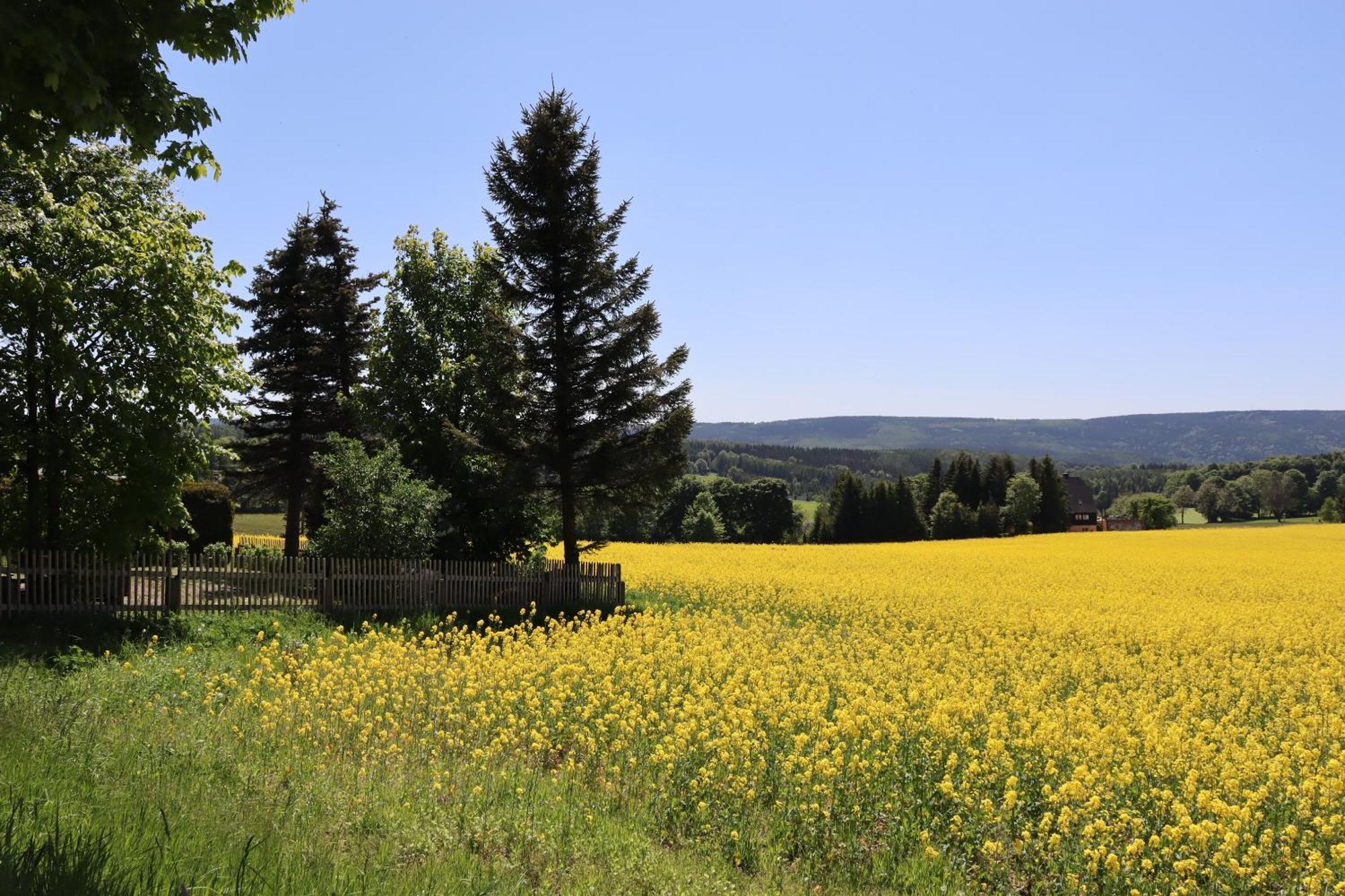 Waldgasthof Bad Einsiedel Hotel 3*