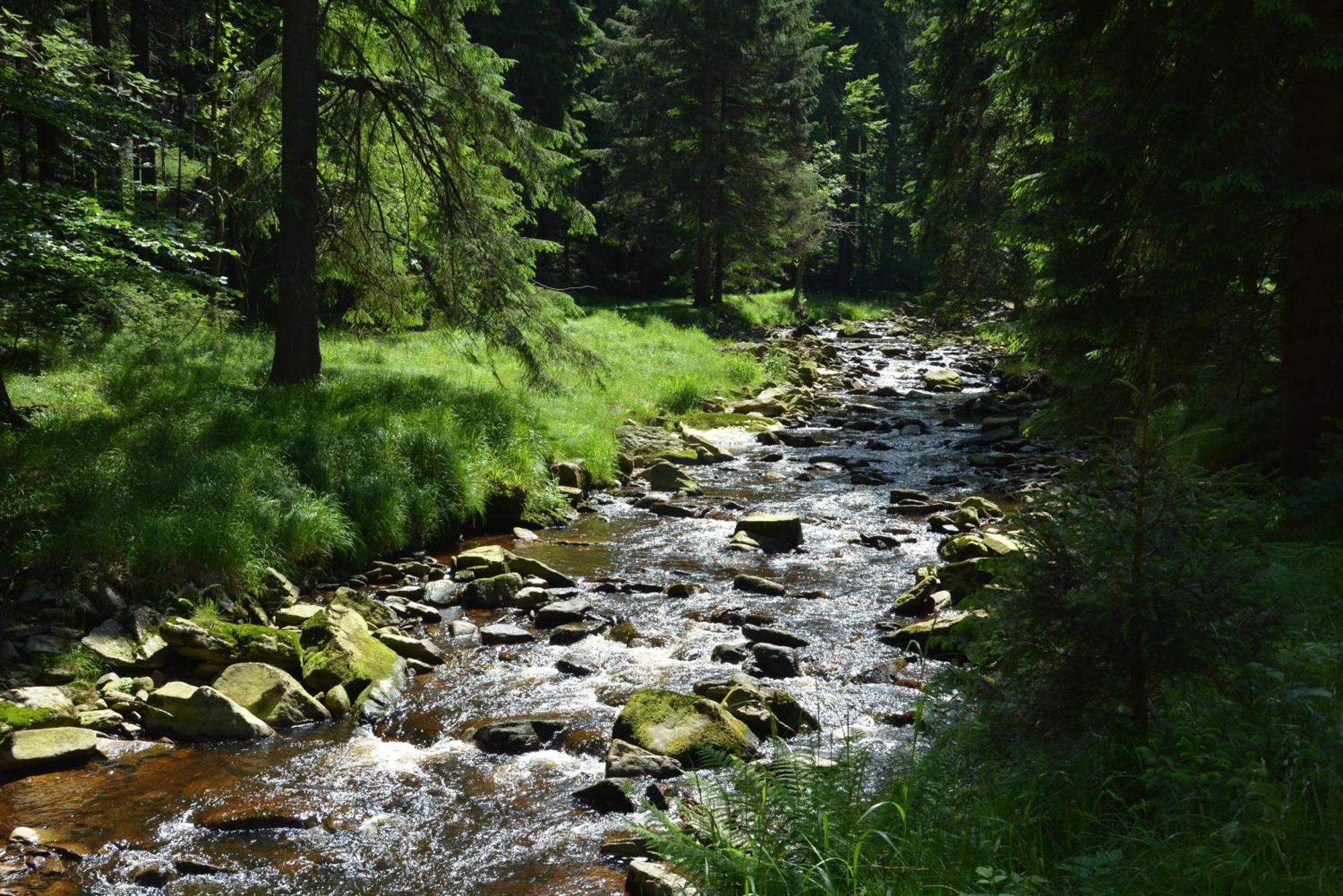 Waldgasthof Bad Einsiedel 3* Kurort Seiffen/Erzgebirge